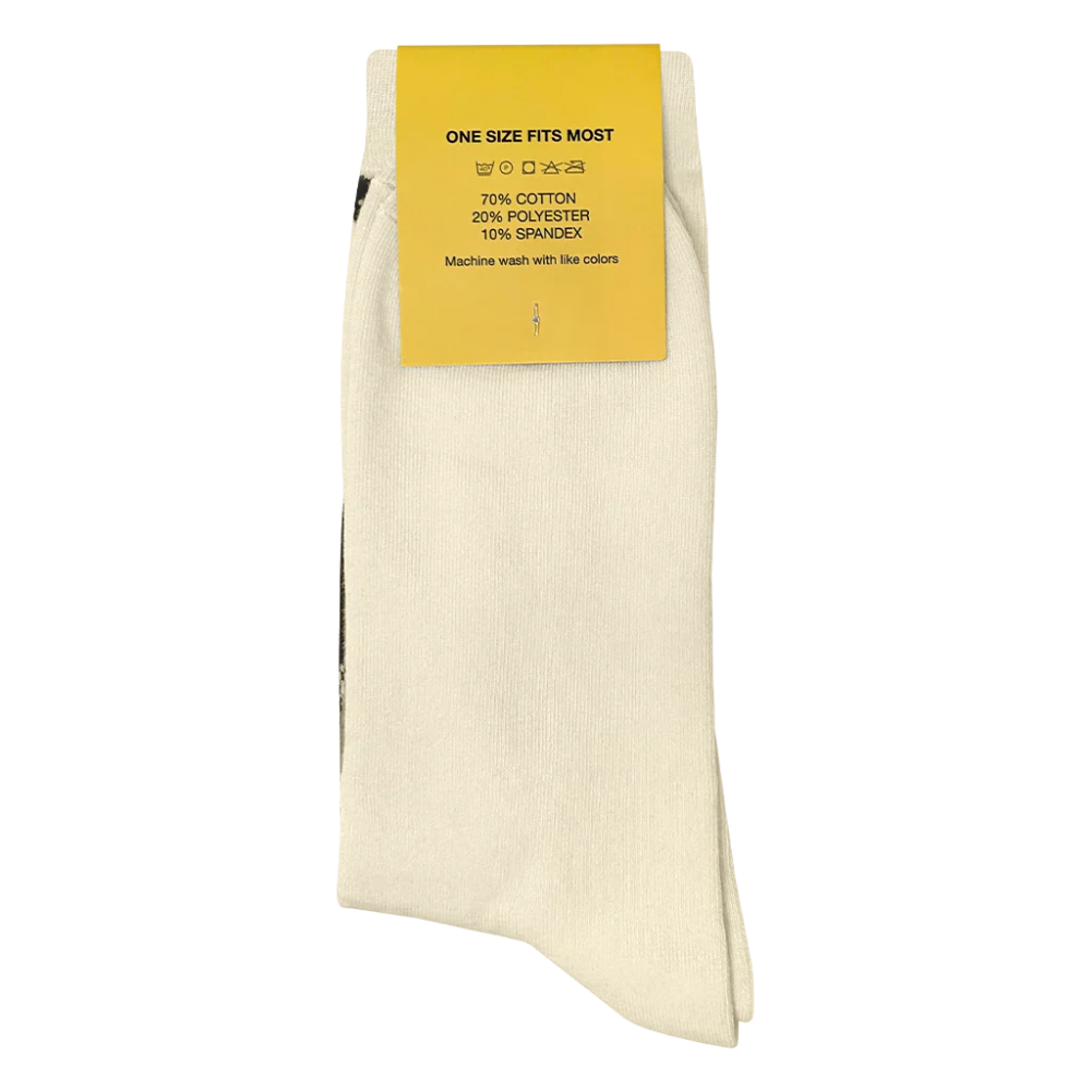 Sanchez_Rockin_Socks back detail